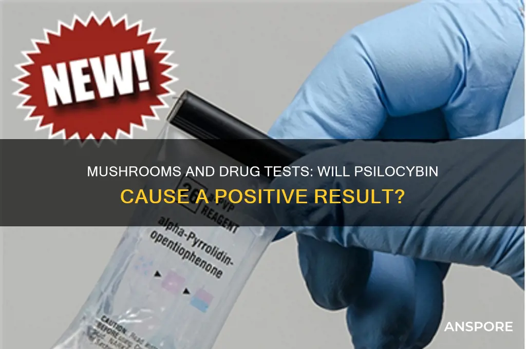 can mushrooms make you fail a drug test