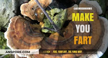 Mushrooms and Gas: Unraveling the Truth Behind Fungal Flatulence