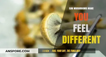 Exploring Mushrooms' Mind-Altering Effects: Can They Change Your Mood?