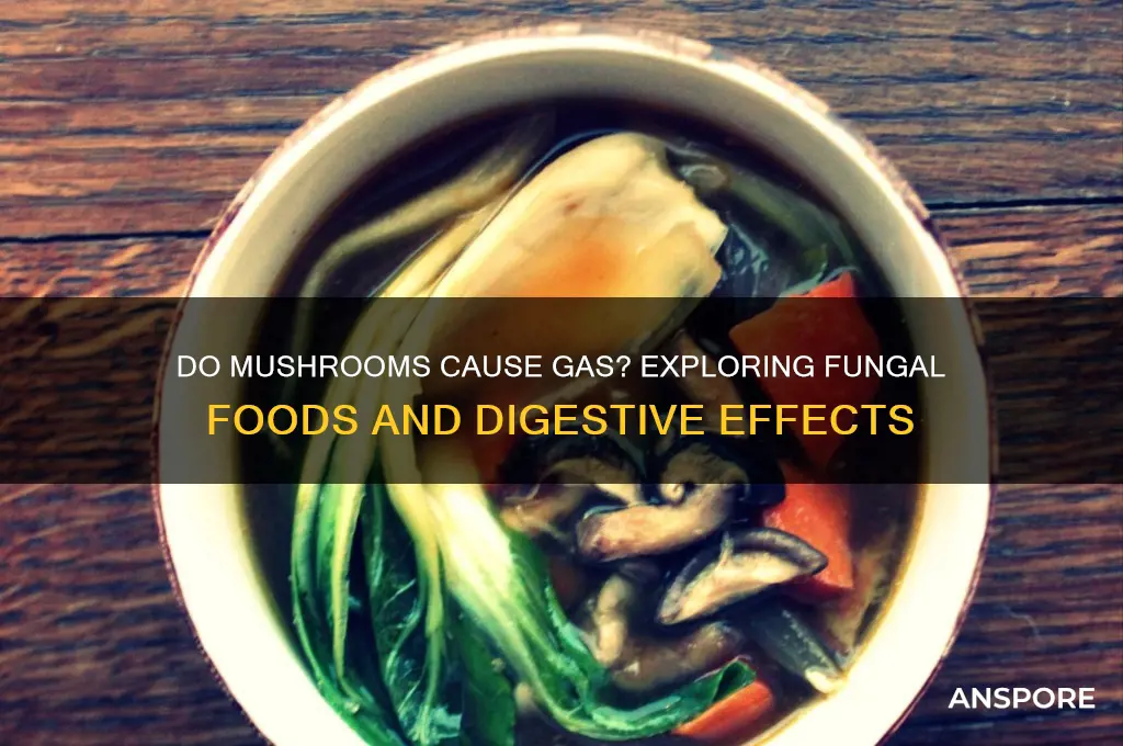 can mushrooms make you gassy