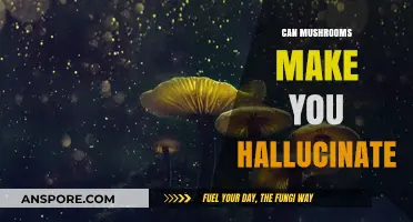 Do Mushrooms Cause Hallucinations? Exploring Psychedelic Fungi Effects