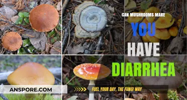 Mushrooms and Diarrhea: Unraveling the Truth Behind Digestive Upsets