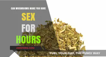 Mushrooms and Libido: Unveiling the Truth About Extended Sexual Stamina