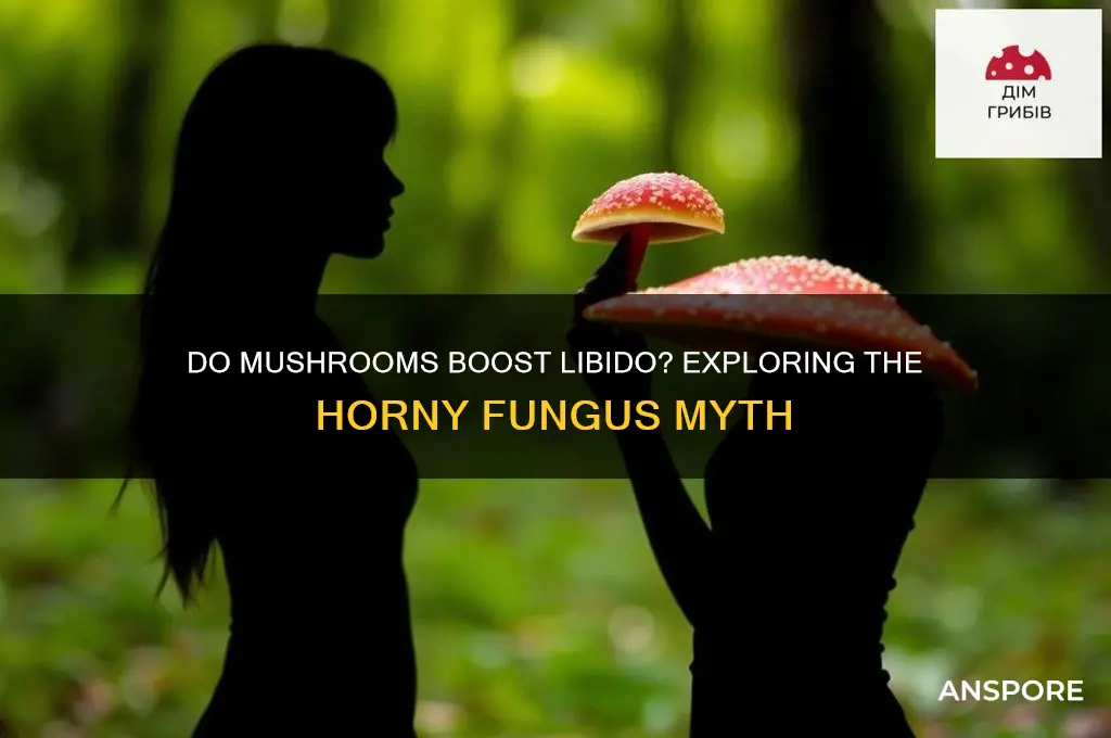 can mushrooms make you horny
