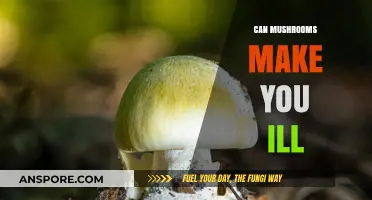 Mushrooms and Health: Understanding the Risks of Toxic Varieties