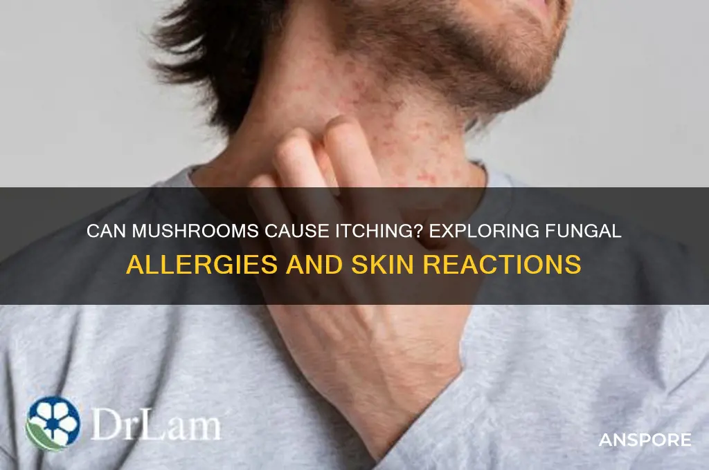 can mushrooms make you itchy