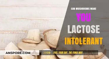 Mushrooms and Lactose Intolerance: Unraveling the Unexpected Connection