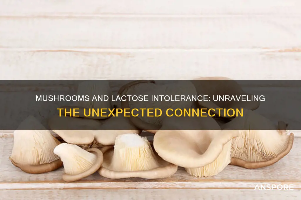 can mushrooms make you lactose intolerant