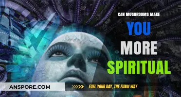Exploring Mushrooms' Role in Enhancing Spiritual Awareness and Connection