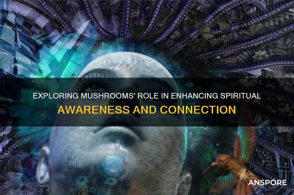 can mushrooms make you more spiritual