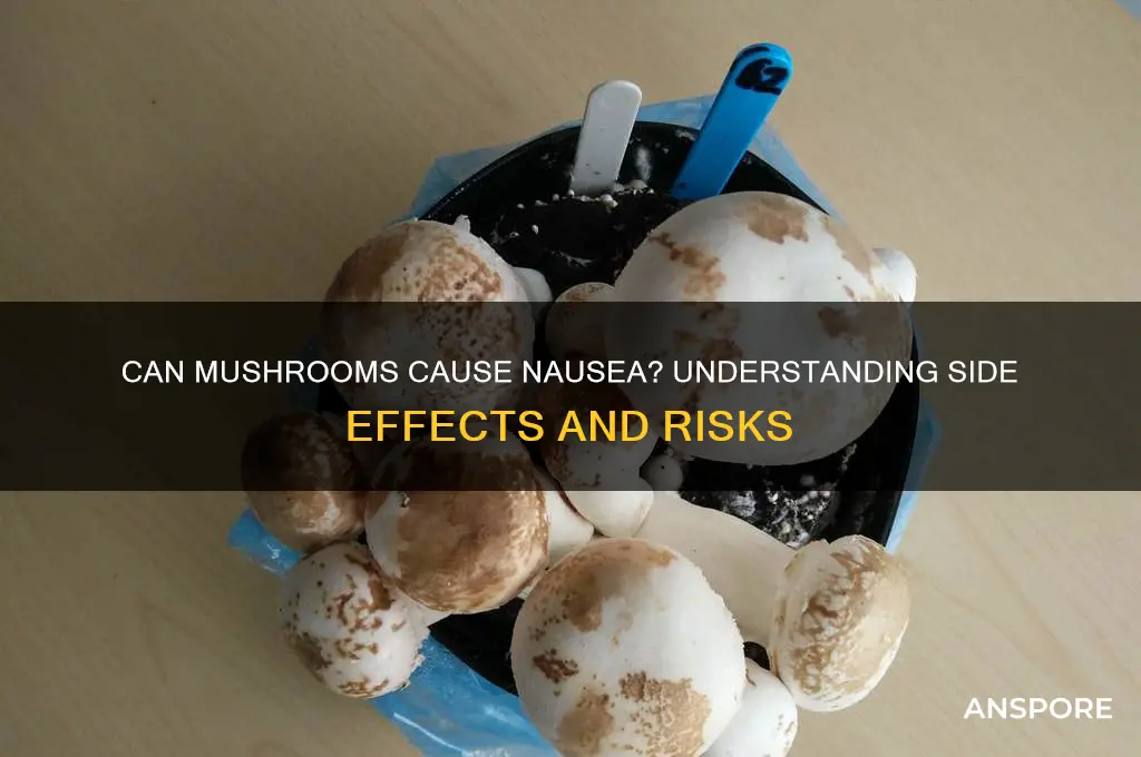 can mushrooms make you nauseous