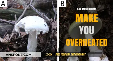 Mushrooms and Overheating: Unraveling the Truth Behind the Myth