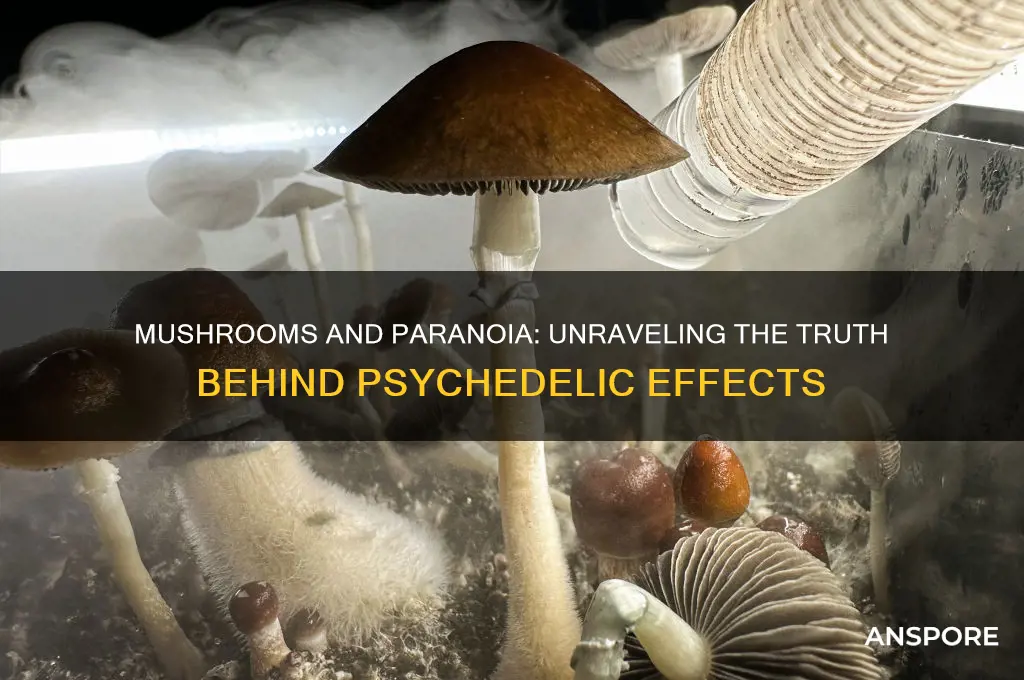 can mushrooms make you paranoid