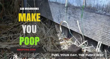 Mushrooms and Digestion: Can Fungi Boost Your Bowel Movements?