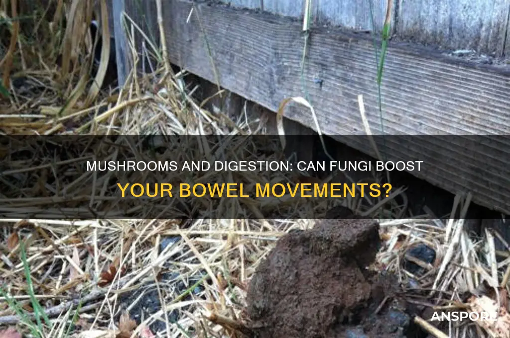 can mushrooms make you poop