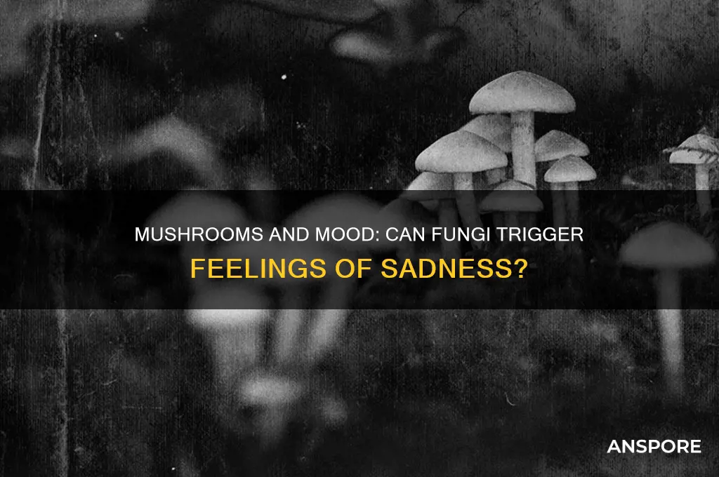 can mushrooms make you sad
