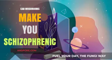 Mushrooms and Schizophrenia: Separating Fact from Fiction in Mental Health