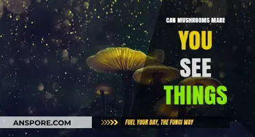 Do Mushrooms Cause Hallucinations? Exploring Psychedelic Effects and Reality