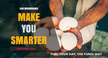 Unlocking Cognitive Potential: Can Mushrooms Boost Your Brain Power?