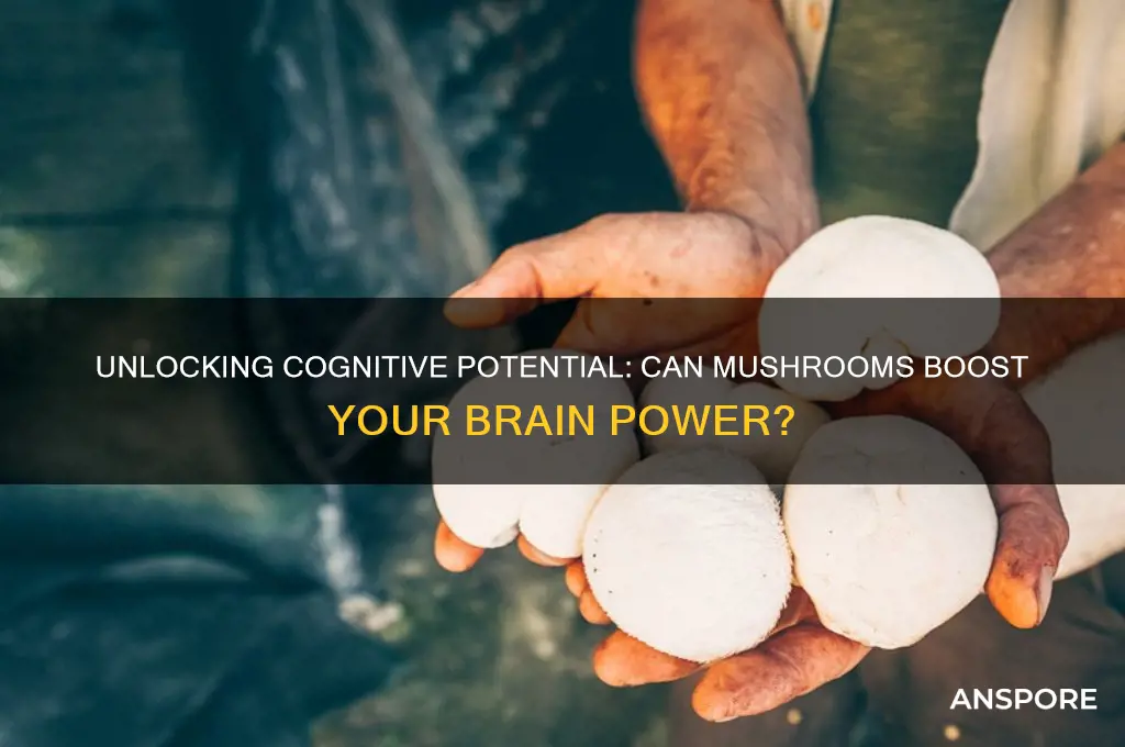 can mushrooms make you smarter