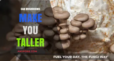 Can Mushrooms Boost Height? Exploring the Myth and Science