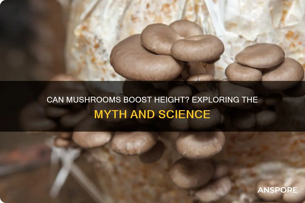 can mushrooms make you taller