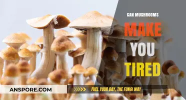 Do Mushrooms Cause Fatigue? Exploring Their Impact on Energy Levels