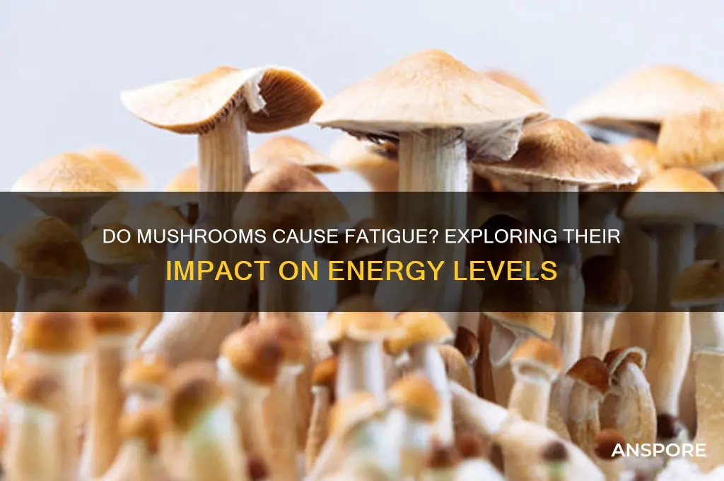 can mushrooms make you tired