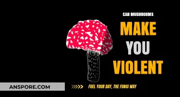 Mushrooms and Aggression: Unraveling the Myth of Violent Fungal Effects