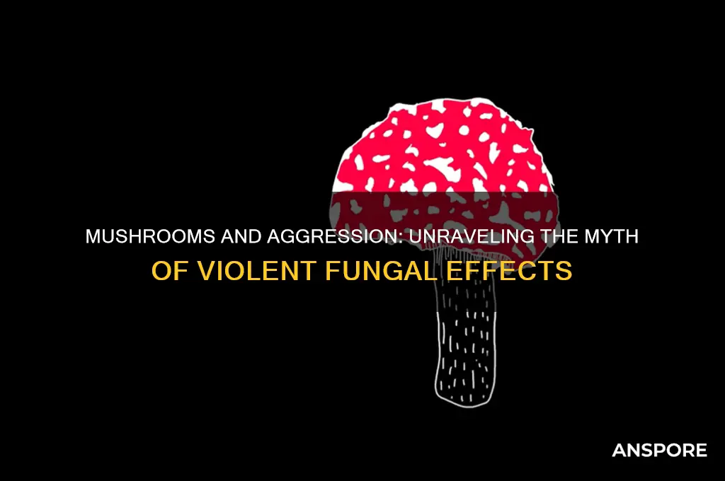 can mushrooms make you violent