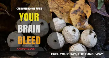 Mushrooms and Brain Bleeds: Separating Fact from Fiction