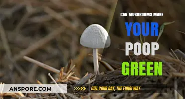 Mushrooms and Green Poop: Unraveling the Surprising Connection