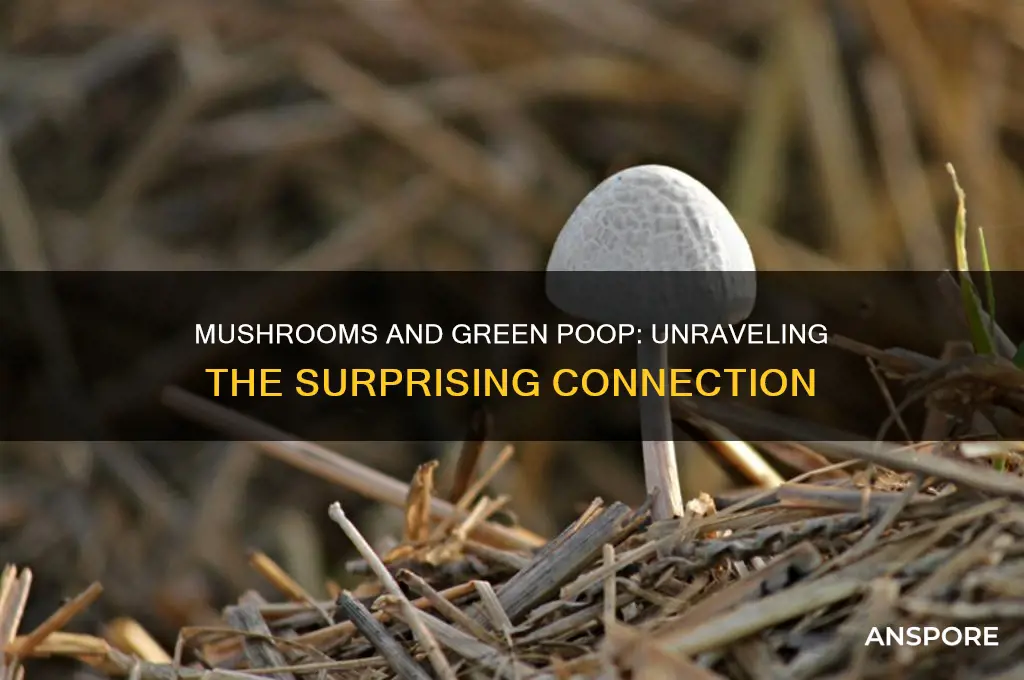 can mushrooms make your poop green