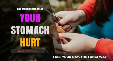 Mushrooms and Stomach Pain: Causes, Risks, and Prevention Tips