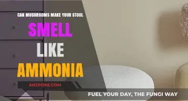 Why Mushrooms Might Cause Ammonia-Like Stool Odor: Explained