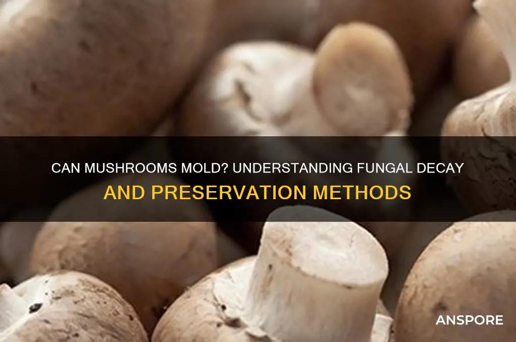 can mushrooms mold