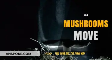 Do Mushrooms Move? Unveiling the Surprising Truth About Fungal Motion