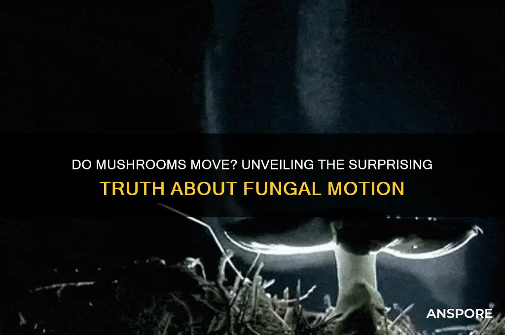 can mushrooms move