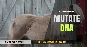 Can Mushrooms Mutate DNA? Exploring Fungal Impacts on Genetic Material