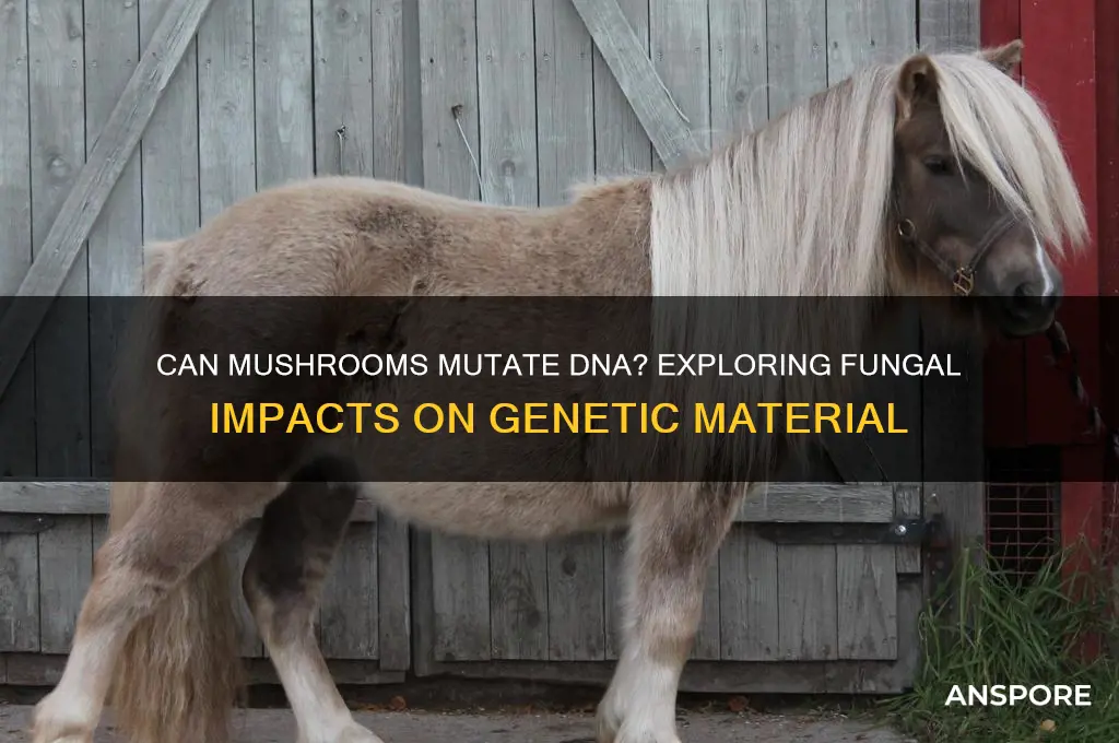 can mushrooms mutate dna