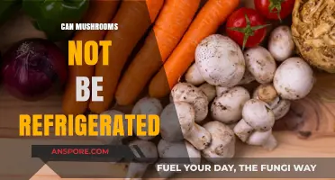 Should You Refrigerate Mushrooms? Storage Tips for Freshness and Flavor