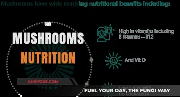 Unlocking the Nutritional Power of Mushrooms: Health Benefits Explored