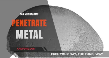Can Mushrooms Penetrate Metal? Unveiling the Surprising Truth