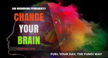 Mushrooms and Mind: Can Psilocybin Permanently Alter Brain Function?