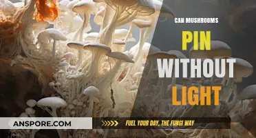 Do Mushrooms Need Light to Pin? Unveiling the Truth
