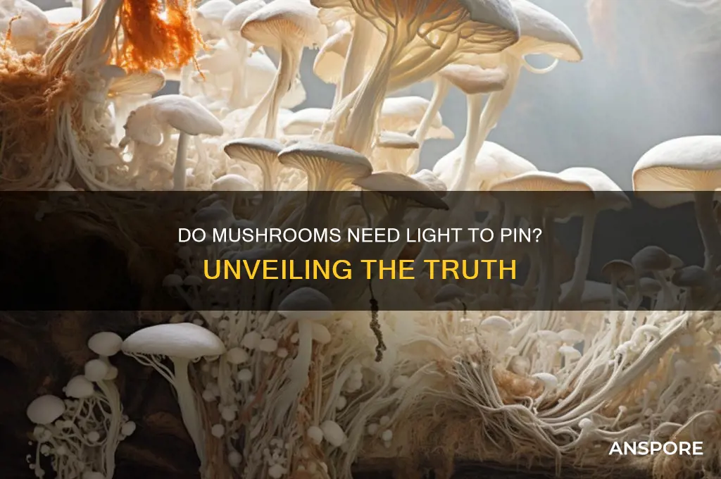 can mushrooms pin without light
