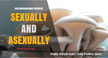 Mushroom Reproduction: Exploring Sexual and Asexual Methods in Fungi