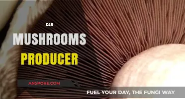 Can Mushrooms Produce Sustainable Solutions for Food and Medicine?