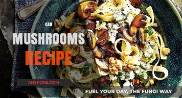 Delicious Mushroom Recipes: Creative Ways to Cook with Fungi