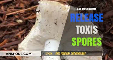Toxic Mushroom Spores: Unveiling the Hidden Dangers in Your Environment